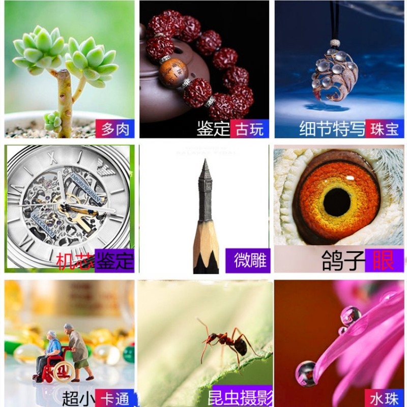 光学マクロ広角電話レンズフロントカメラ自撮り多肉植物リトプス - Photography Close Up のレビューと価格