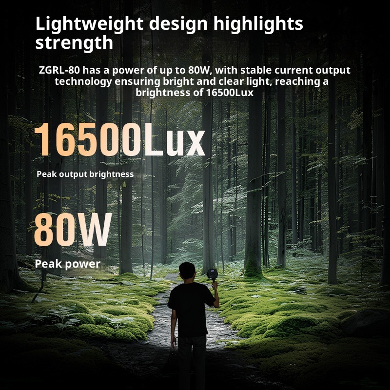 ZGRL80 80W COB LEDビデオライト ハンドヘル - Photography Treatment のレビューと価格