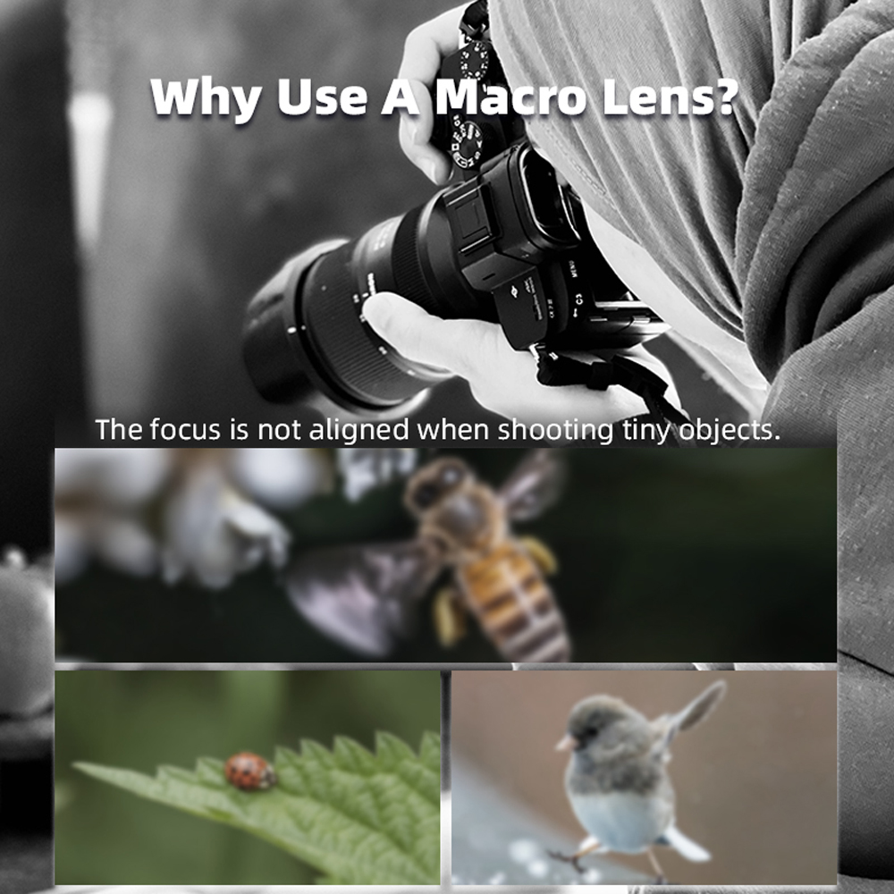 BRDRC 磁気マクロレンズ DJI OSMO Pocket - Photography Close Up のレビューと価格
